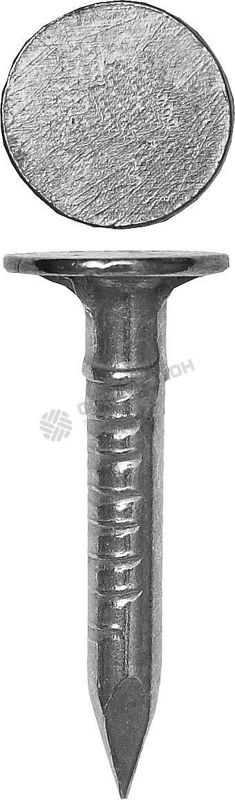 Фотография Гвозди 4-305091-30-070 ЗУБР оцинкованные с большой потайной головкой, по дереву/листовому металлу, 3